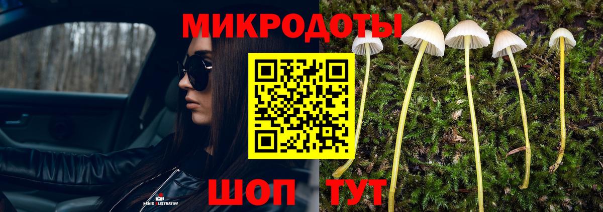 Галлюциногенные грибы Psilocybine cubensis Сарапул